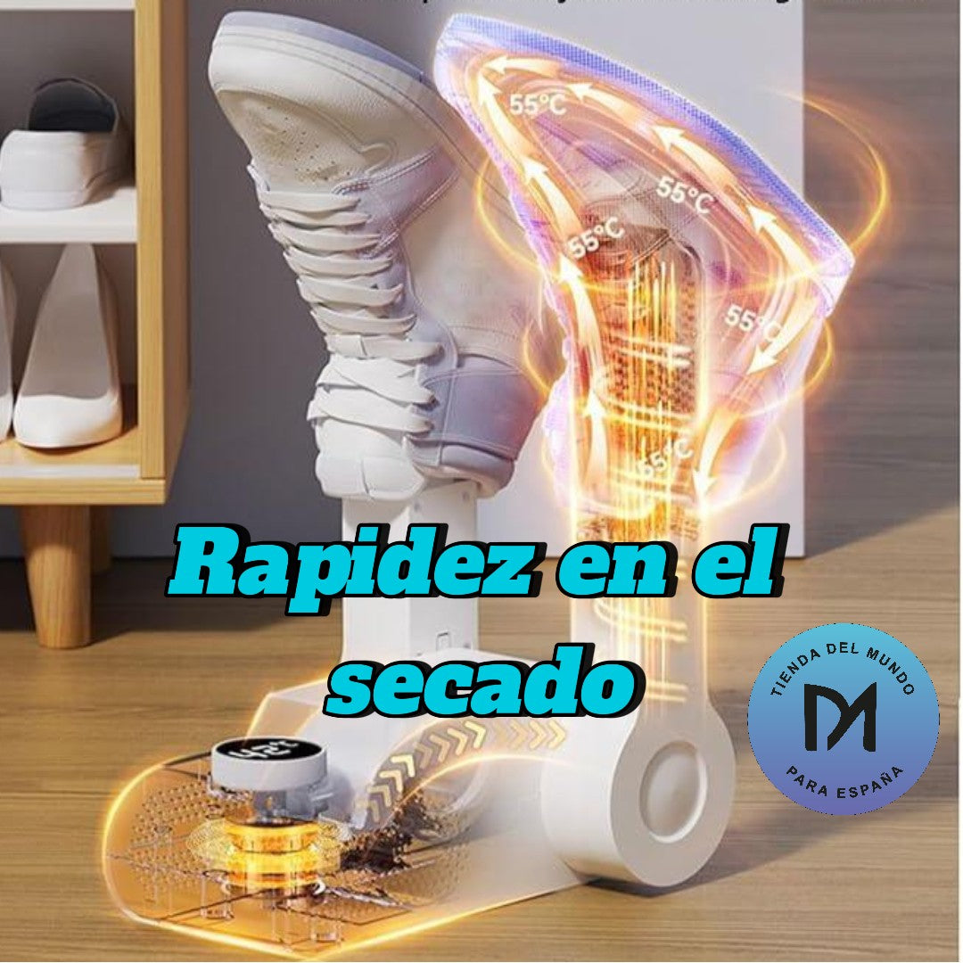 Base Secadora De Zapatos
